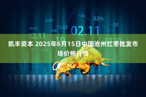 凯丰资本 2025年6月15日中国沧州红枣批发市场价格行情
