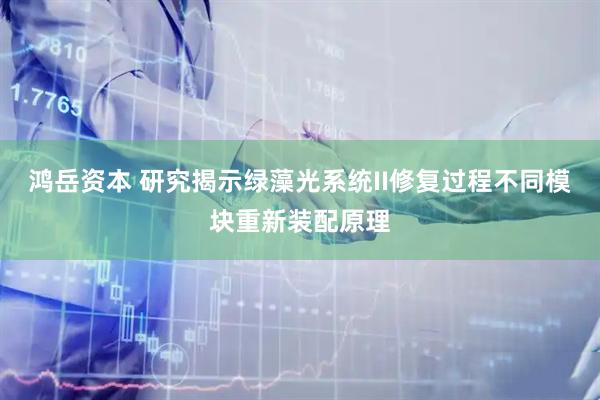 鸿岳资本 研究揭示绿藻光系统II修复过程不同模块重新装配原理