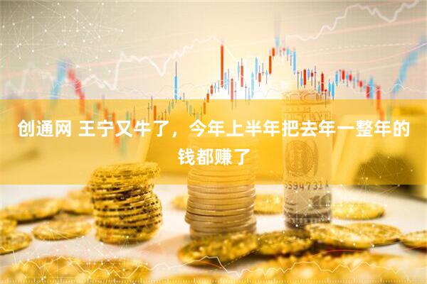 创通网 王宁又牛了，今年上半年把去年一整年的钱都赚了