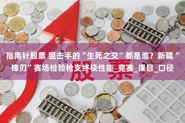 指南针股票 狙击手的“生死之交”都是谁？新疆“锋刃”赛场检验枪支终极性能_竞赛_课目_口径