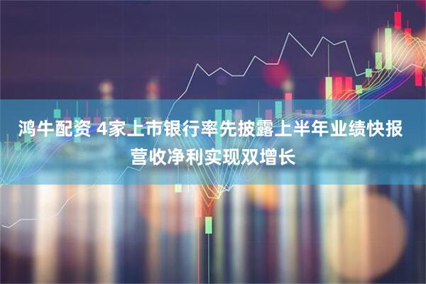鸿牛配资 4家上市银行率先披露上半年业绩快报 营收净利实现双增长