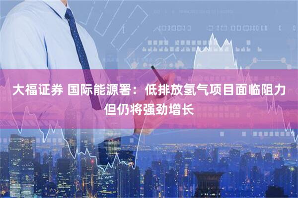 大福证券 国际能源署：低排放氢气项目面临阻力但仍将强劲增长