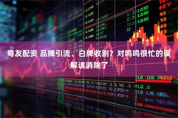 粤友配资 品牌引流、白牌收割？对鸣鸣很忙的误解该消除了