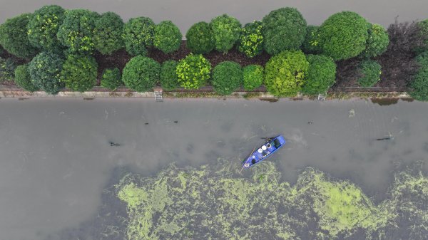 小散配资 四中全会精神在基层 | 记者手记：在大通湖畔感受现代农业新气象