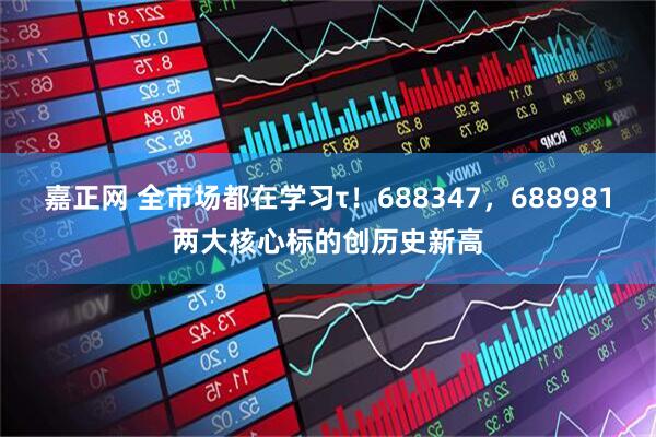 嘉正网 全市场都在学习τ！688347，688981两大核心标的创历史新高